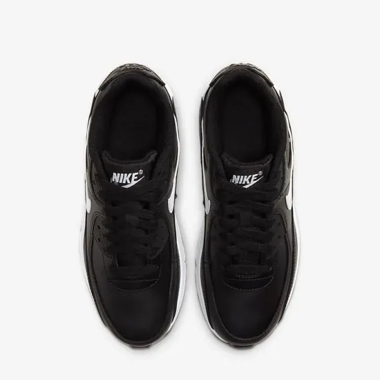 Кросівки Nike Air Max 90 LTR CD6864-010