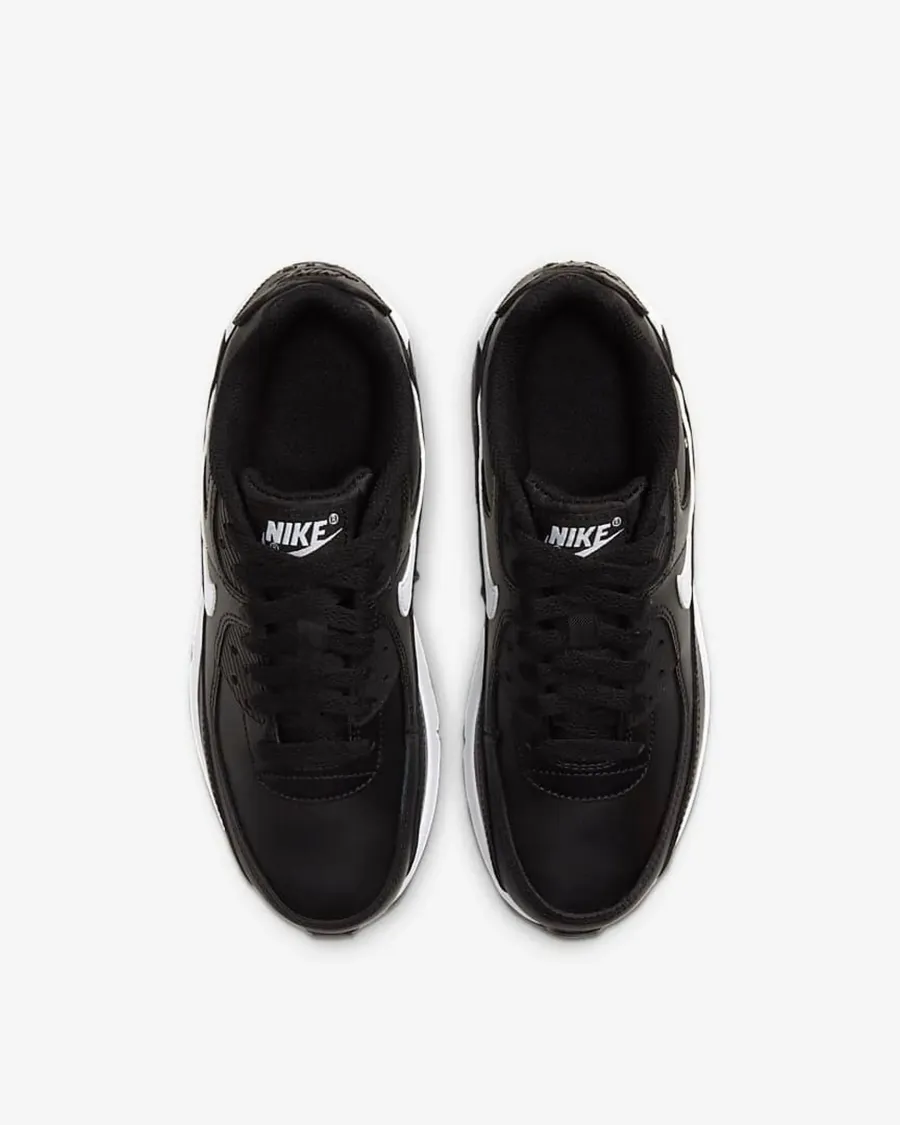 Кросівки Nike Air Max 90 LTR CD6864-010