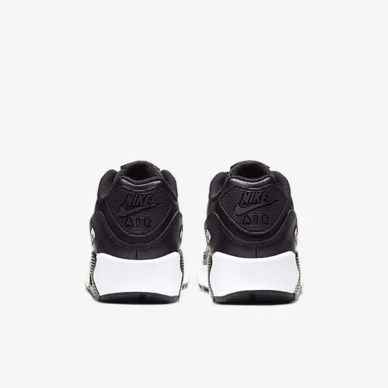 Кросівки Nike Air Max 90 LTR CD6864-010