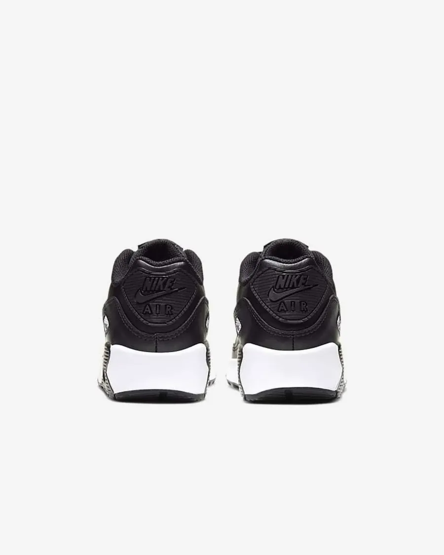 Кросівки Nike Air Max 90 LTR CD6864-010