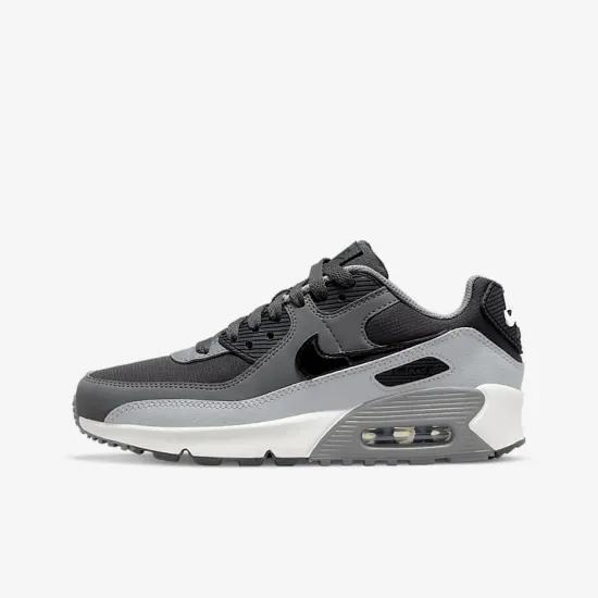 Кросівки Nike Air Max 90 LTR CD6864-015