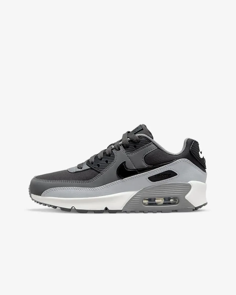 Кросівки Nike Air Max 90 LTR CD6864-015