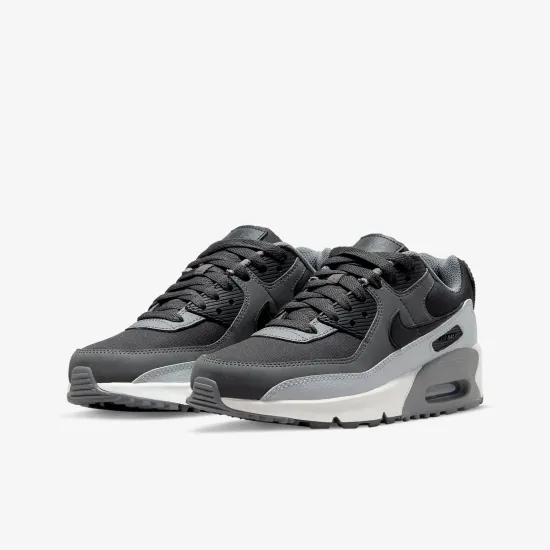 Кросівки Nike Air Max 90 LTR CD6864-015
