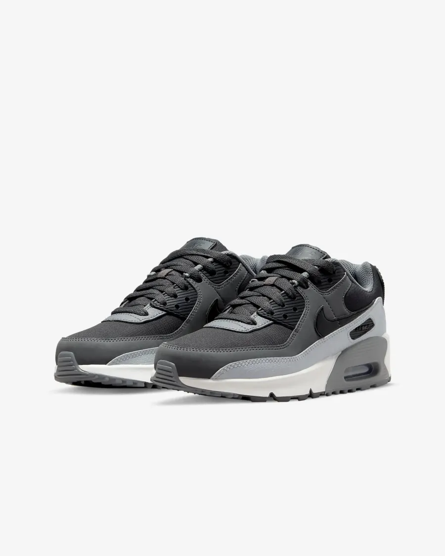 Кросівки Nike Air Max 90 LTR CD6864-015