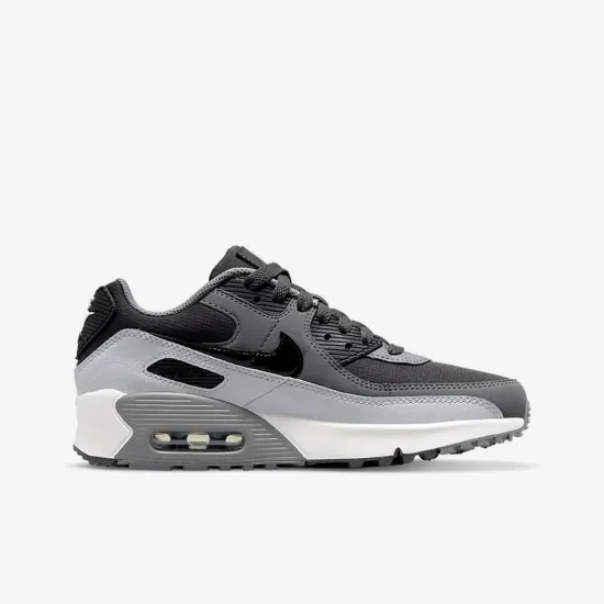 Кросівки Nike Air Max 90 LTR CD6864-015