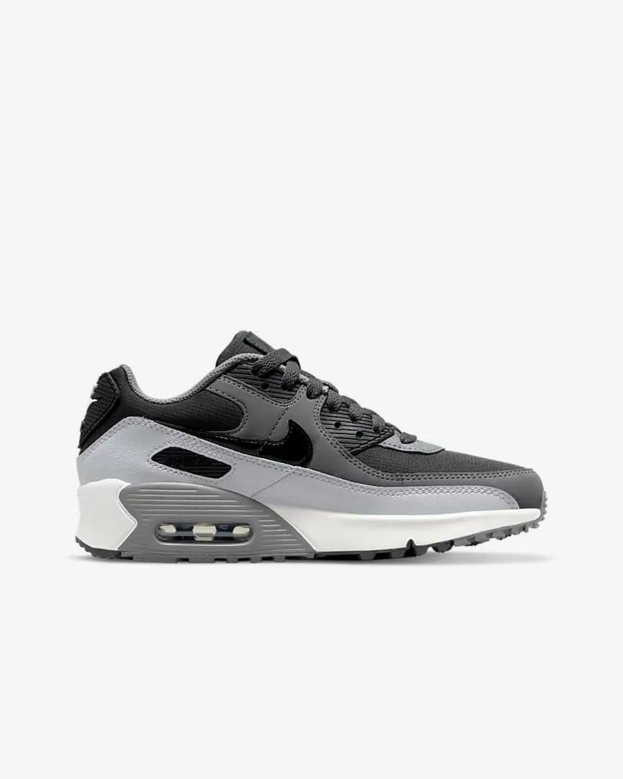 Кросівки Nike Air Max 90 LTR CD6864-015
