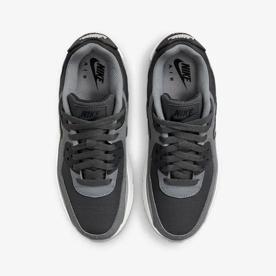 Кросівки Nike Air Max 90 LTR CD6864-015