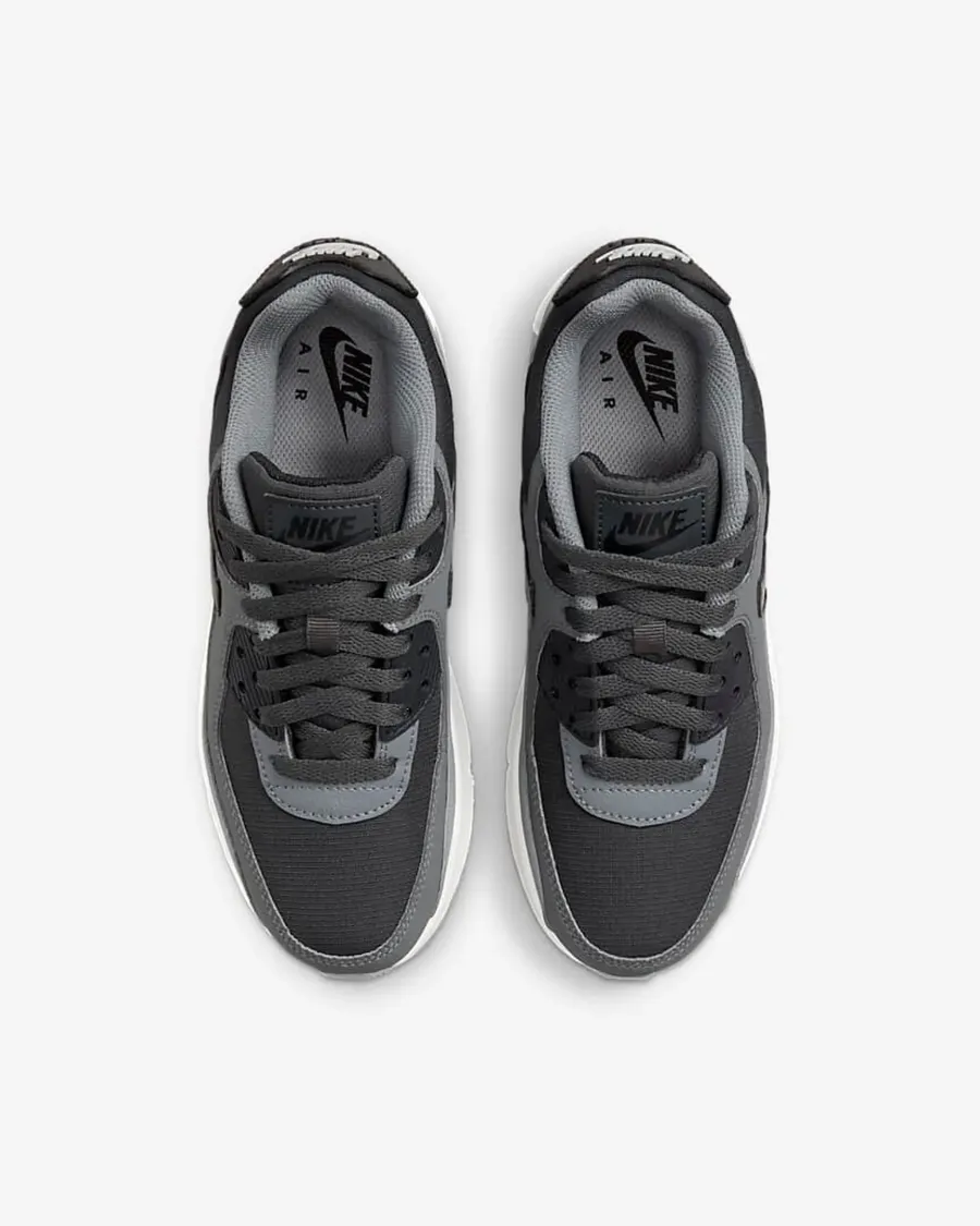 Кросівки Nike Air Max 90 LTR CD6864-015