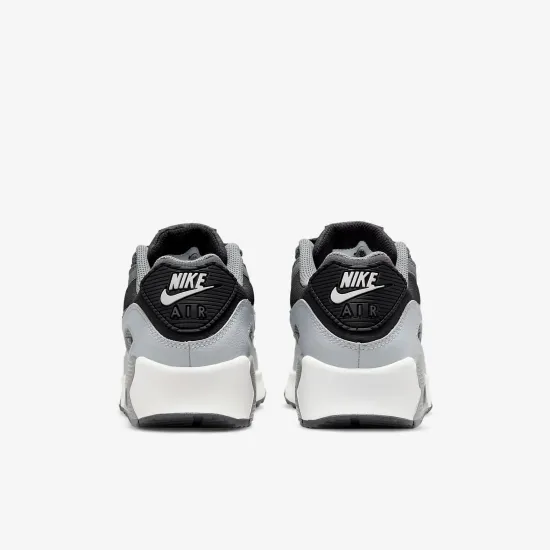 Кросівки Nike Air Max 90 LTR CD6864-015