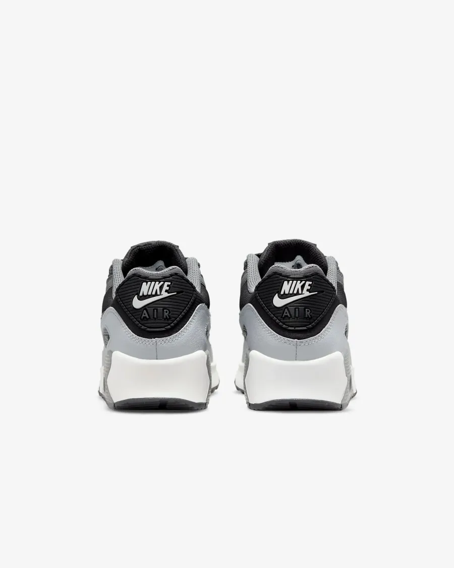 Кросівки Nike Air Max 90 LTR CD6864-015