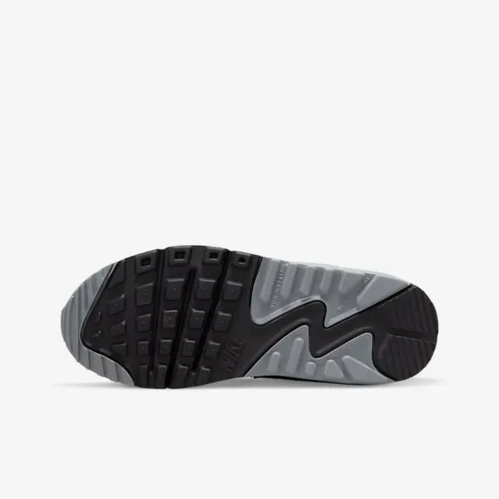 Кросівки Nike Air Max 90 LTR CD6864-015