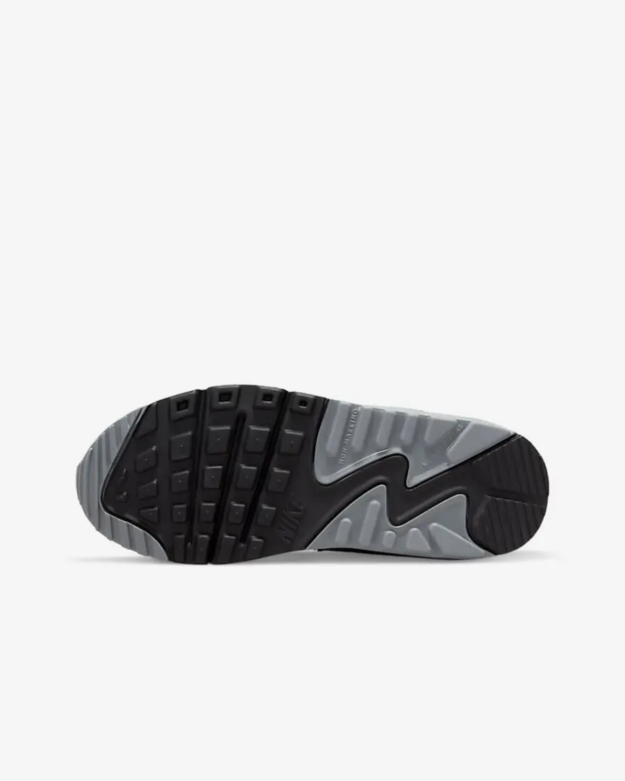 Кросівки Nike Air Max 90 LTR CD6864-015