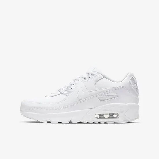 Кросівки Nike Air Max 90 LTR CD6864-100
