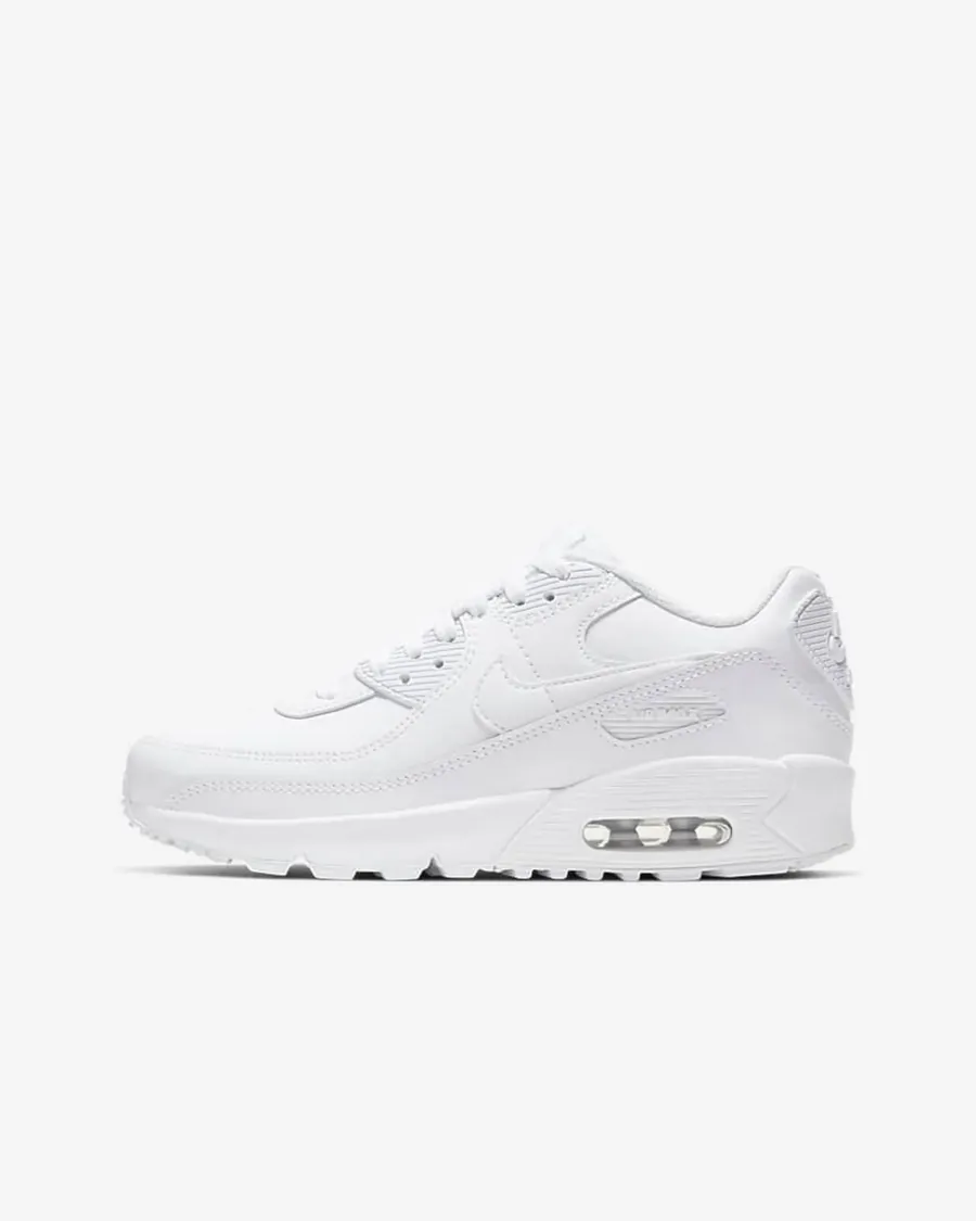 Кросівки Nike Air Max 90 LTR CD6864-100
