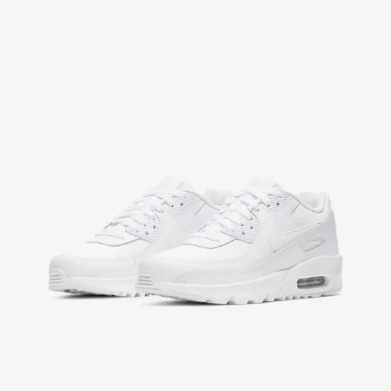 Кросівки Nike Air Max 90 LTR CD6864-100