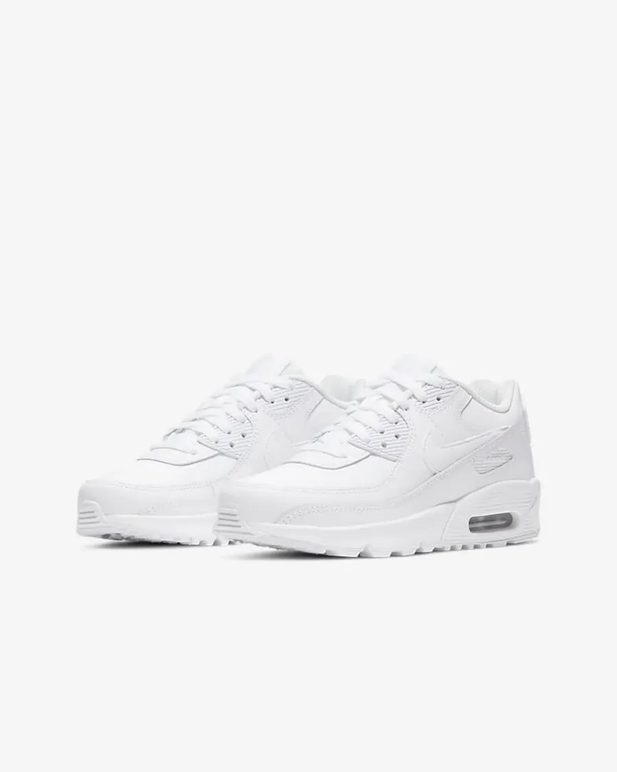 Кросівки Nike Air Max 90 LTR CD6864-100