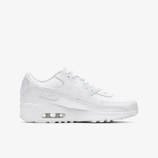 Кросівки Nike Air Max 90 LTR CD6864-100