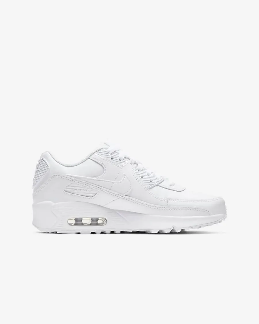 Кросівки Nike Air Max 90 LTR CD6864-100
