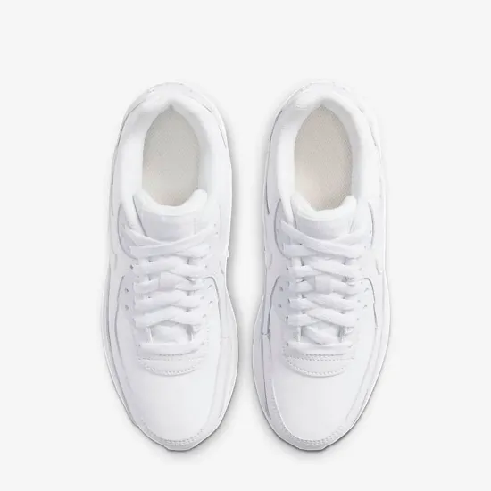 Кросівки Nike Air Max 90 LTR CD6864-100