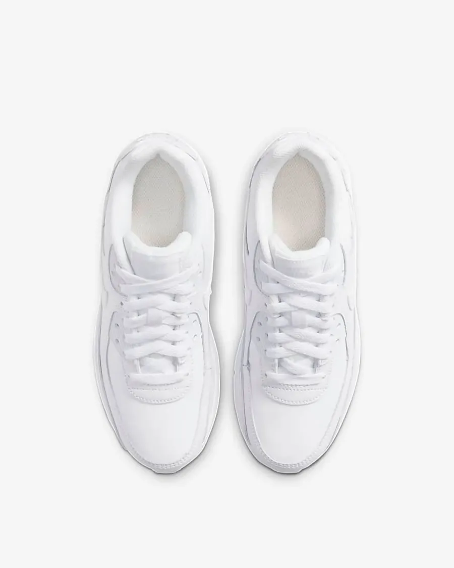 Кросівки Nike Air Max 90 LTR CD6864-100