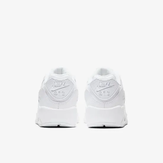 Кросівки Nike Air Max 90 LTR CD6864-100