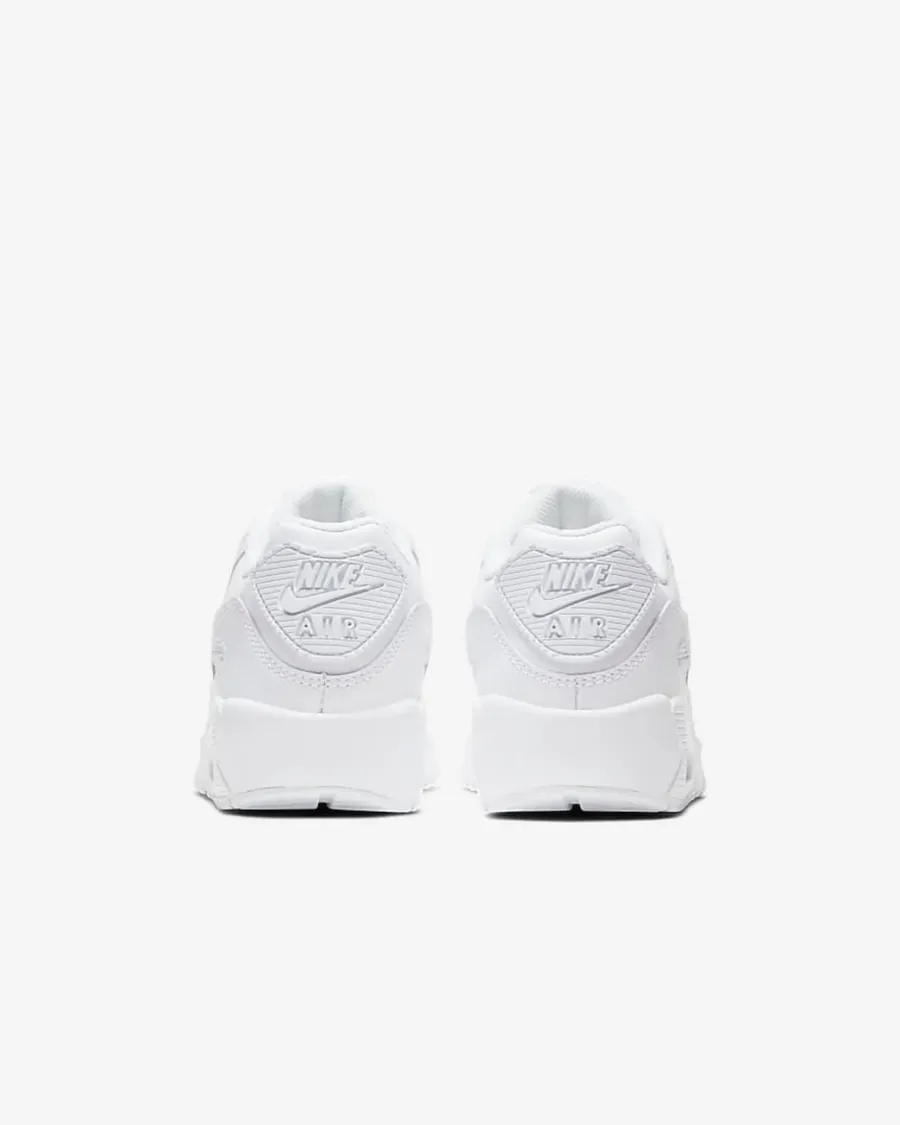Кросівки Nike Air Max 90 LTR CD6864-100