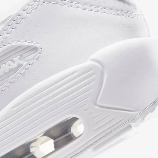 Кросівки Nike Air Max 90 LTR CD6864-100