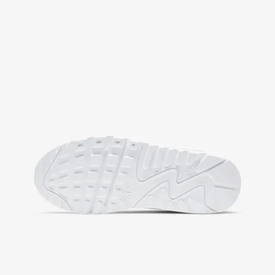 Кросівки Nike Air Max 90 LTR CD6864-100