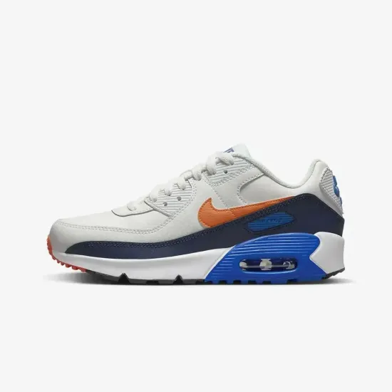 Кросівки Nike Air Max 90 LTR CD6864-120