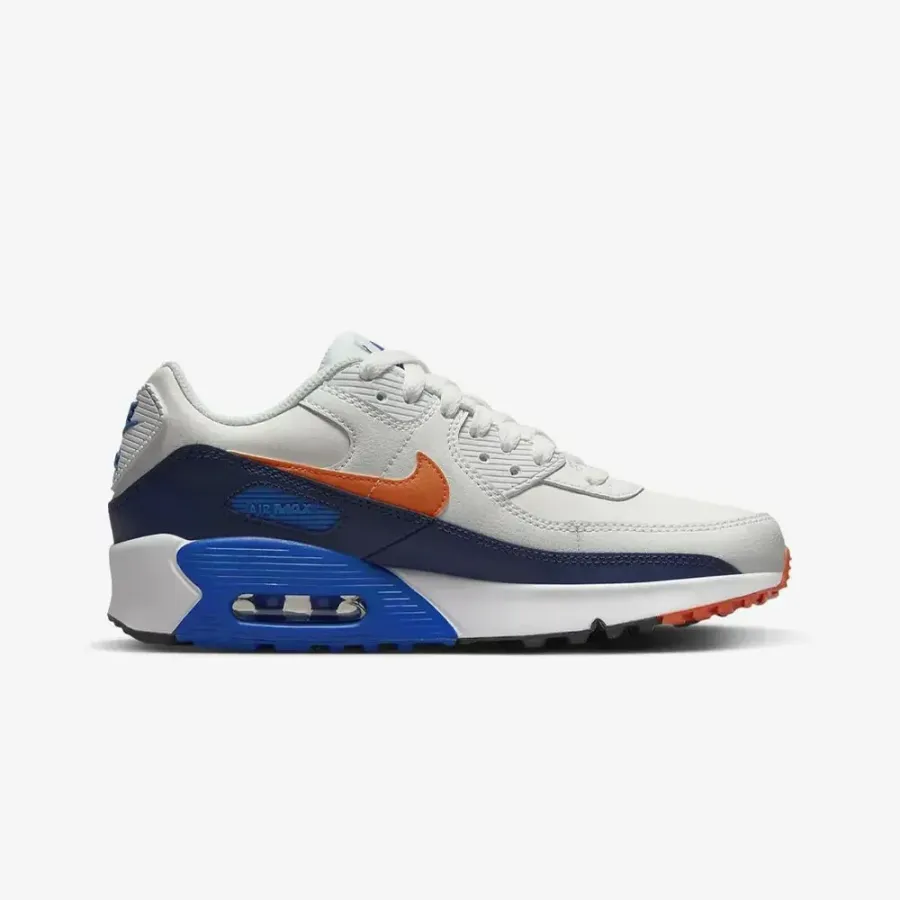 Кросівки Nike Air Max 90 LTR CD6864-120