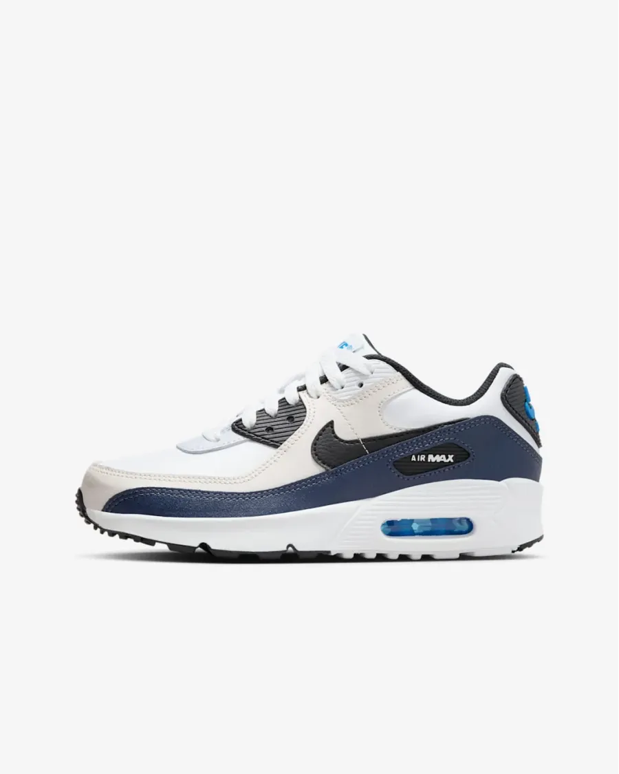 Кросівки Nike Air Max 90 LTR CD6864-404