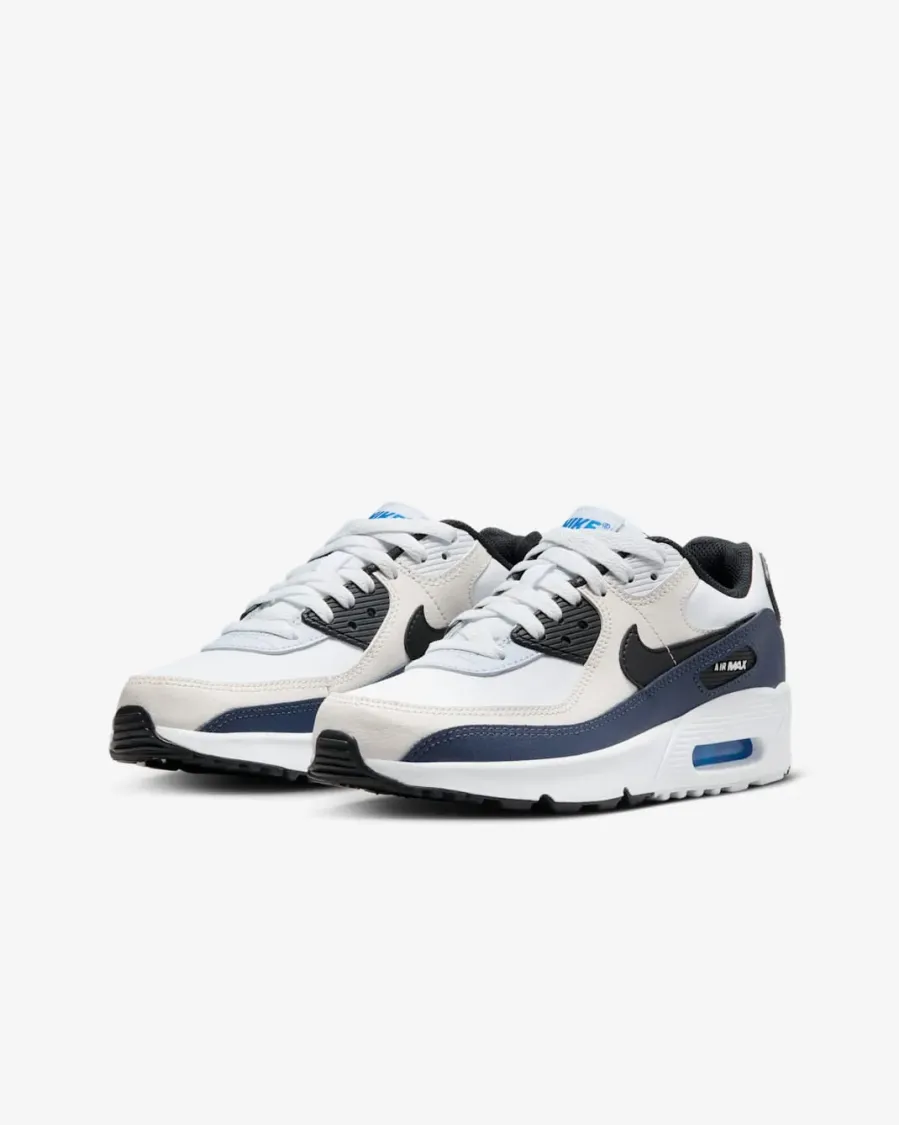 Кросівки Nike Air Max 90 LTR CD6864-404