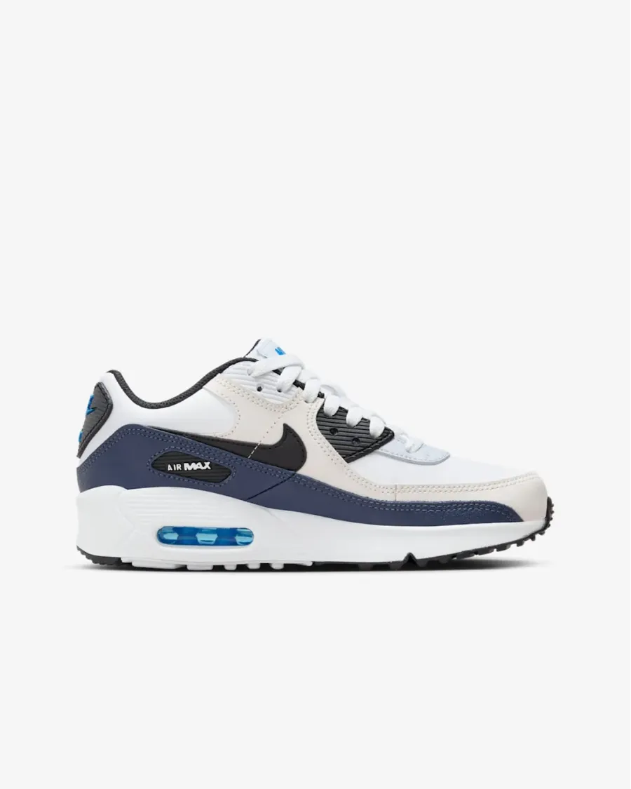 Кросівки Nike Air Max 90 LTR CD6864-404