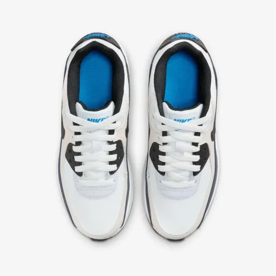Кросівки Nike Air Max 90 LTR CD6864-404