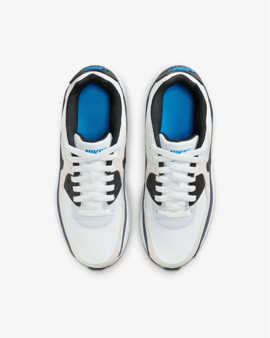 Кросівки Nike Air Max 90 LTR CD6864-404