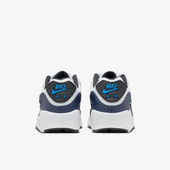 Кросівки Nike Air Max 90 LTR CD6864-404