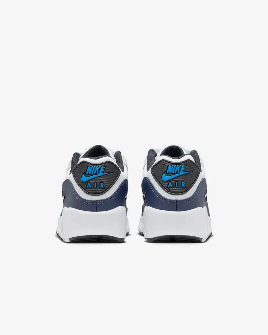 Кросівки Nike Air Max 90 LTR CD6864-404