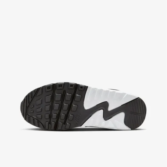 Кросівки Nike Air Max 90 LTR CD6864-404