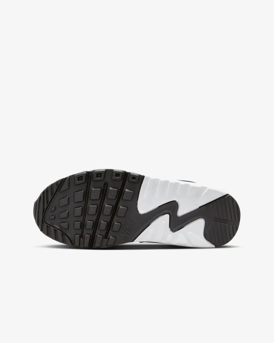 Кросівки Nike Air Max 90 LTR CD6864-404