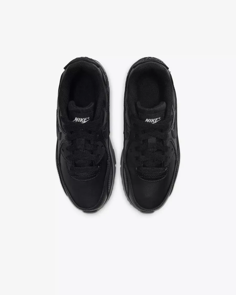 Кросівки Nike Air Max 90 LTR CD6867-001