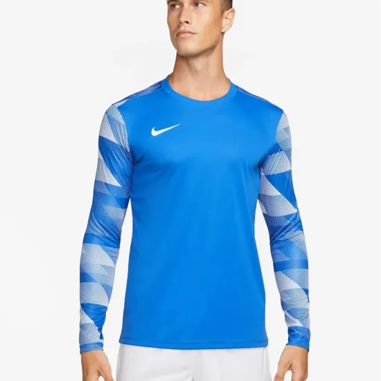 Реглан Nike Dry Park IV Goalkeeper CJ6066-463