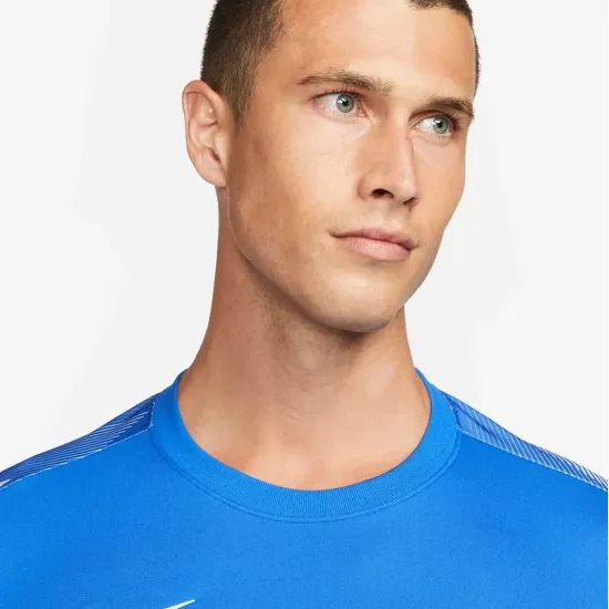 Реглан Nike Dry Park IV Goalkeeper CJ6066-463