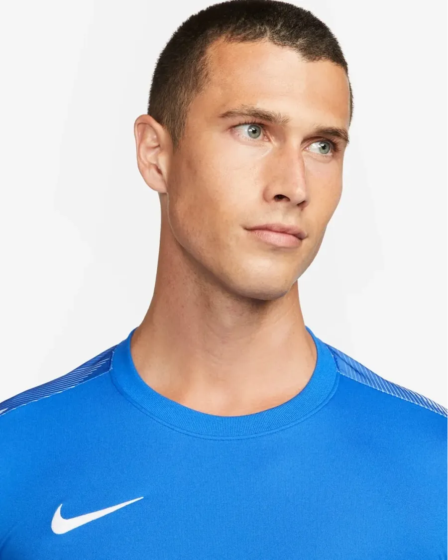Реглан Nike Dry Park IV Goalkeeper CJ6066-463