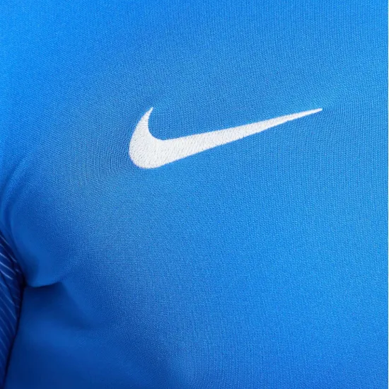 Реглан Nike Dry Park IV Goalkeeper CJ6066-463
