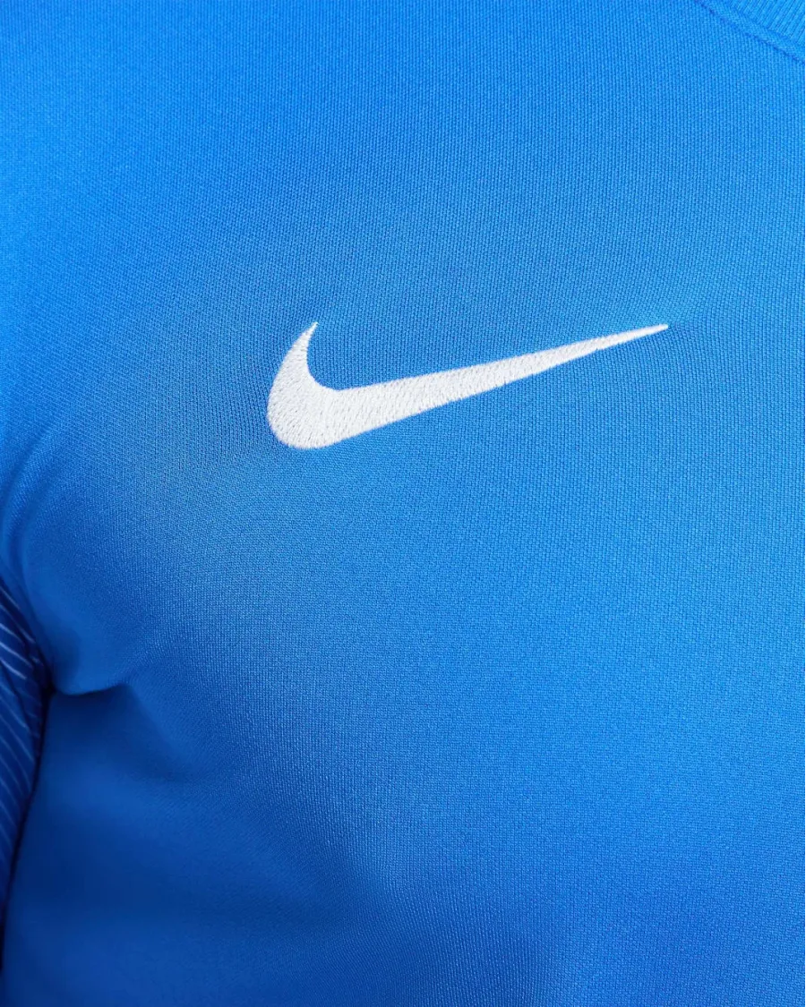 Реглан Nike Dry Park IV Goalkeeper CJ6066-463
