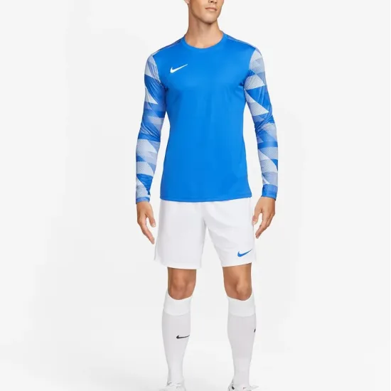 Реглан Nike Dry Park IV Goalkeeper CJ6066-463