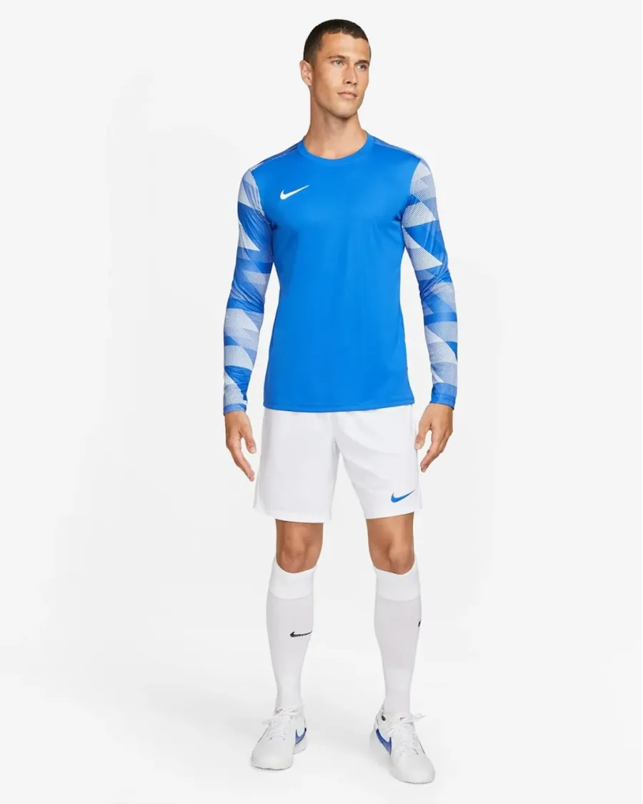 Реглан Nike Dry Park IV Goalkeeper CJ6066-463