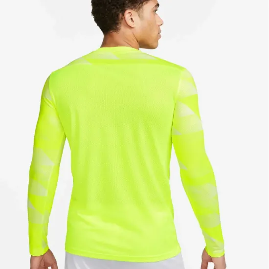 Реглан Nike Dry Park IV Goalkeeper CJ6066-702