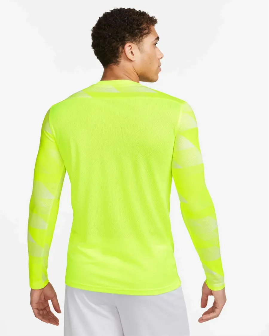 Реглан Nike Dry Park IV Goalkeeper CJ6066-702