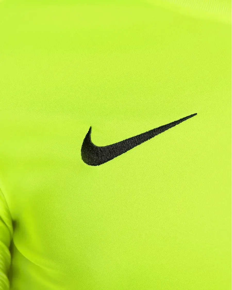 Реглан Nike Dry Park IV Goalkeeper CJ6066-702